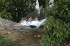 Relaxing in the backyard