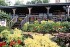 Calico Inn...your home away from home