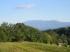 Scenic View